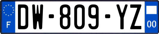 DW-809-YZ