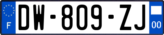 DW-809-ZJ