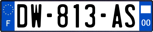 DW-813-AS