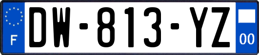 DW-813-YZ