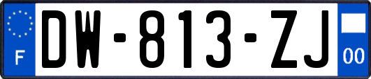 DW-813-ZJ