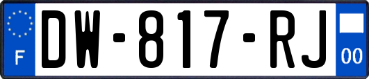 DW-817-RJ