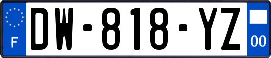 DW-818-YZ