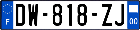 DW-818-ZJ