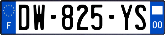 DW-825-YS