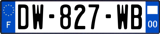 DW-827-WB