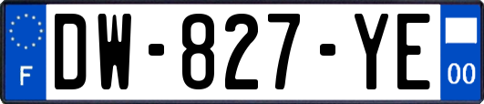 DW-827-YE