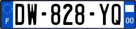 DW-828-YQ