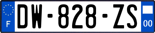 DW-828-ZS