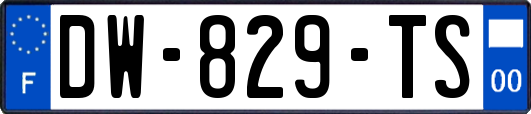 DW-829-TS