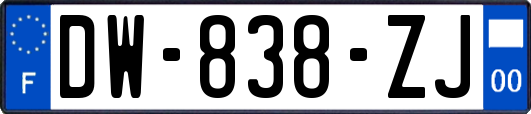 DW-838-ZJ