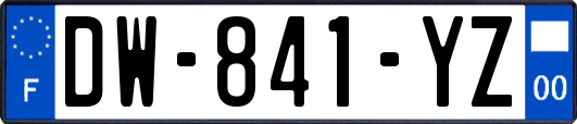 DW-841-YZ