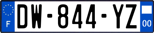 DW-844-YZ