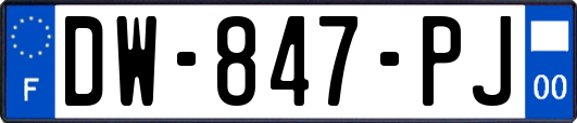 DW-847-PJ