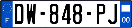 DW-848-PJ