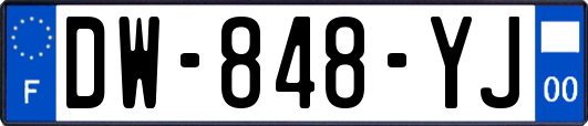 DW-848-YJ