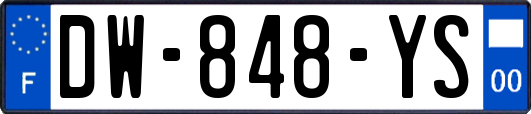 DW-848-YS