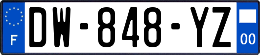 DW-848-YZ