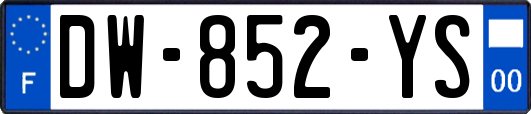 DW-852-YS