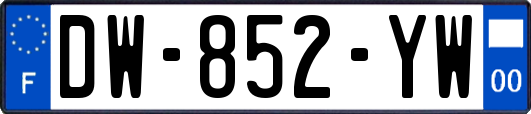 DW-852-YW