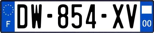 DW-854-XV