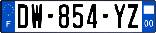 DW-854-YZ