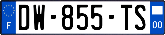 DW-855-TS