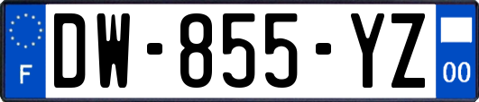 DW-855-YZ