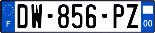 DW-856-PZ