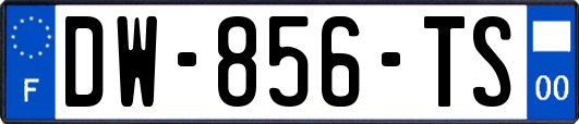 DW-856-TS