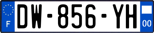 DW-856-YH