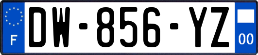 DW-856-YZ