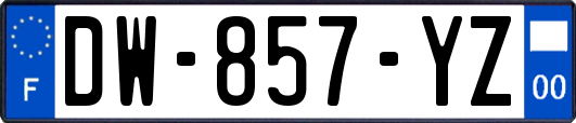 DW-857-YZ