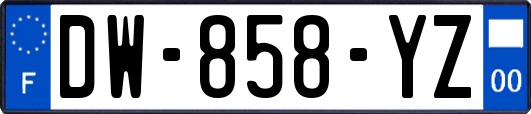 DW-858-YZ