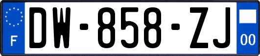 DW-858-ZJ