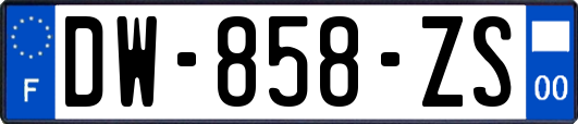 DW-858-ZS