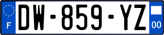 DW-859-YZ