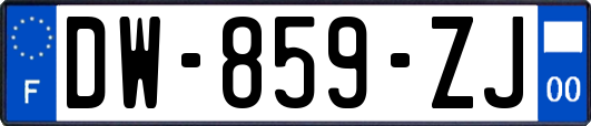 DW-859-ZJ