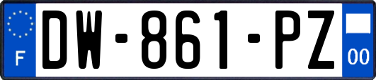 DW-861-PZ