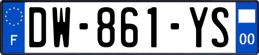 DW-861-YS