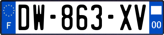 DW-863-XV