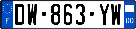 DW-863-YW