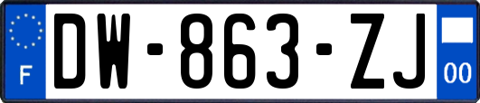 DW-863-ZJ