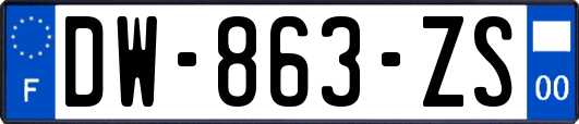 DW-863-ZS