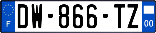 DW-866-TZ