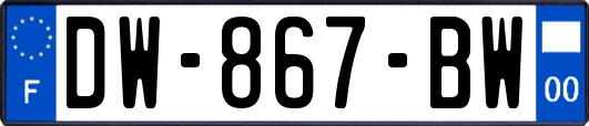 DW-867-BW