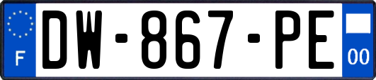 DW-867-PE