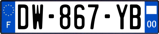 DW-867-YB