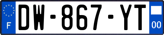 DW-867-YT