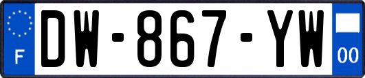 DW-867-YW